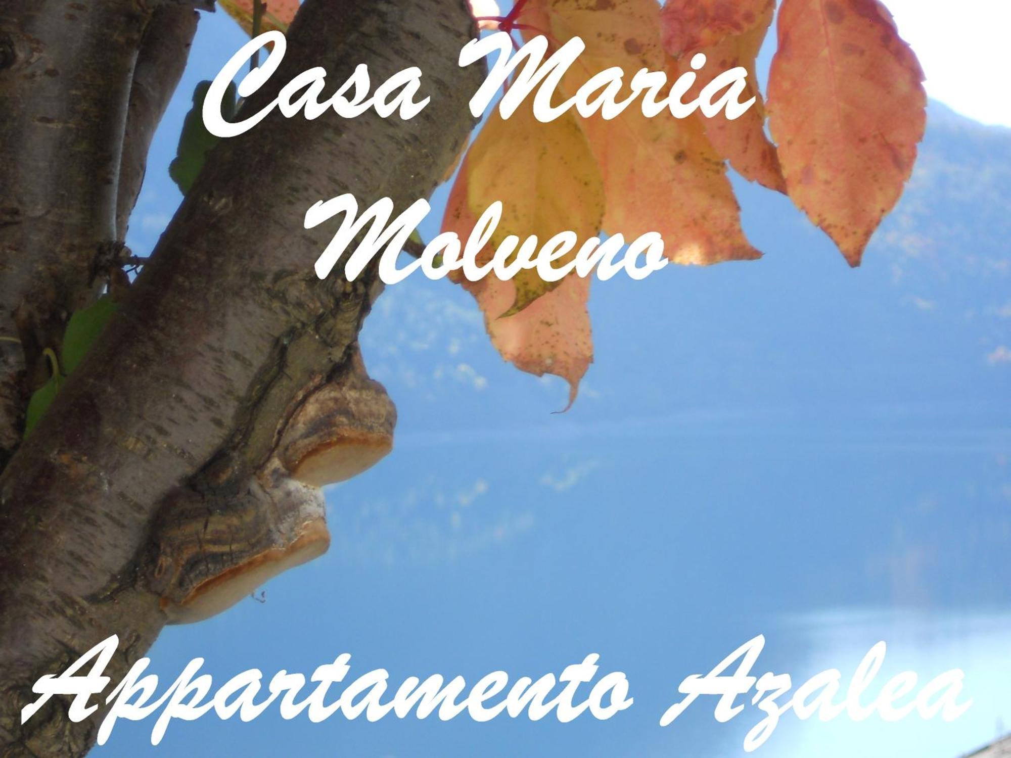 Casa Maria Appartement Molveno Kamer foto